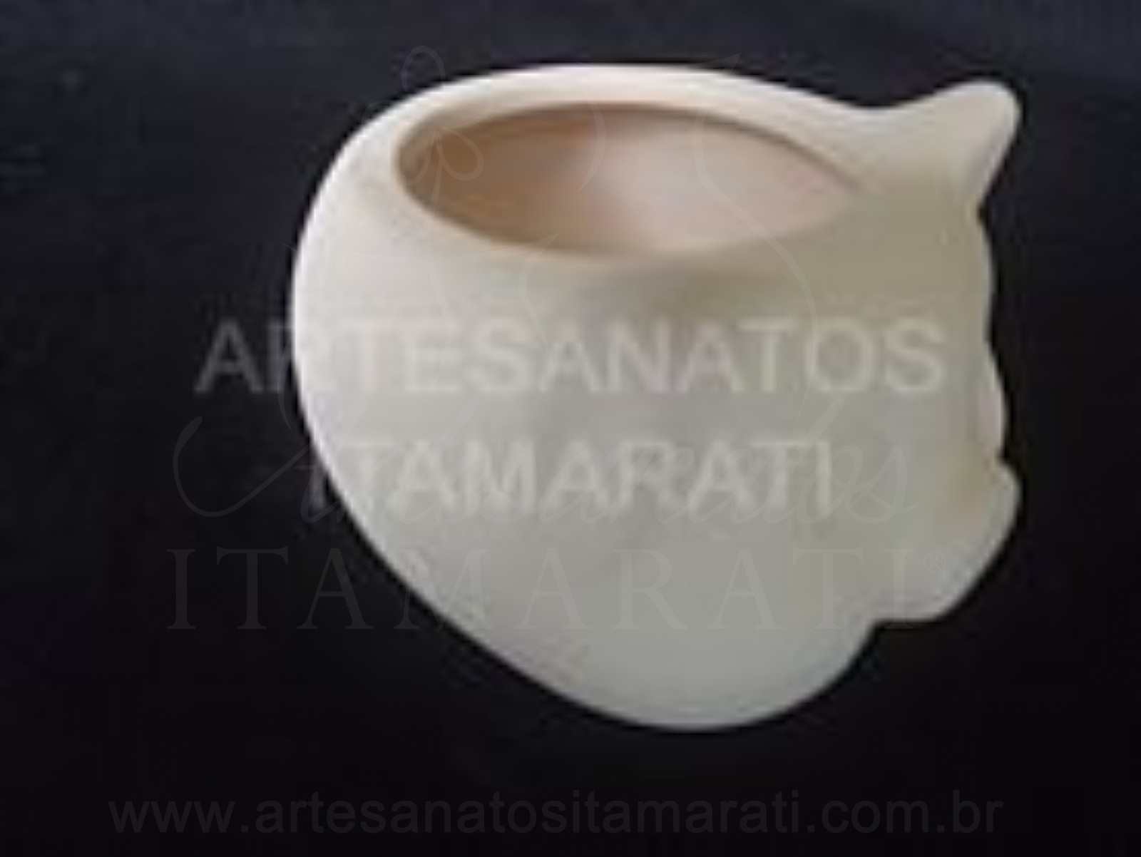 Porco para Suculenta